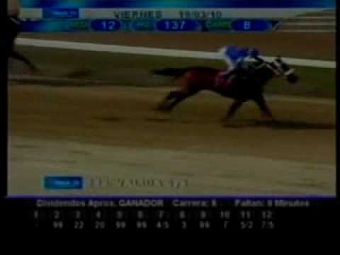 Resumen 19 de Marzo 2010 - Valencia