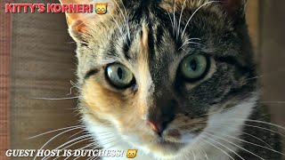 Kitty's Korner! 😹 Today's Guest Host Is Dutchess! 😺 She Has Some Hilarious Jokes For You All! 😂🤣