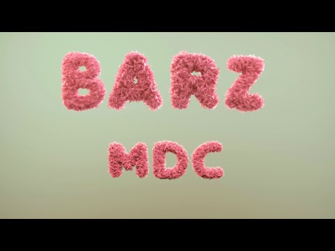 BARZ - Chavi MDC