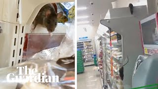 VIDEO: Supermarket invadat de șobolani 1 video