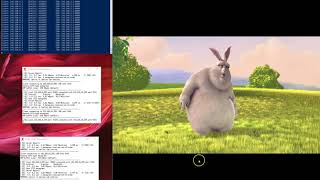 Network-assisted, multi-CDN video delivery demo