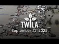 TWILA Die Hurrikane Katrina Und Rita 20 Jahre Später