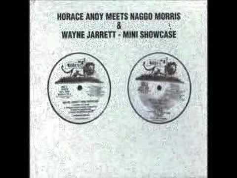 wayne jarrett - you and I (12")