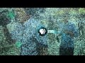 PBS UK 2011 Channel Launch Idents