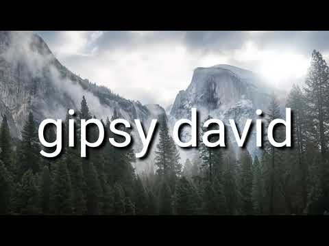 gipsy david 2020 sar te late džava