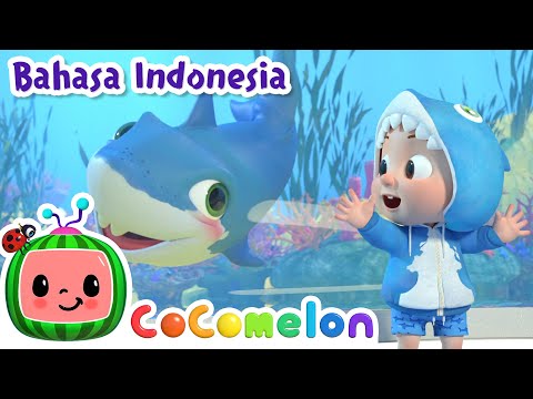 Baby Shark di Kapal Selam🦈 | CoComelon Bahasa Indonesia - Lagu Anak Anak | Nursery Rhymes