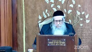 הרה"ג הרב וועכטר שליט"א ז' ניסן תשפ"ד - מאמר הרבי הריי"צ קונטרס פסח תש"ט (הרב אברהם מנחם מענדל וכטר) - התמונה מוצגת ישירות מתוך אתר האינטרנט יוטיוב. זכויות היוצרים בתמונה שייכות ליוצרה. קישור קרדיט למקור התוכן נמצא בתוך דף הסרטון