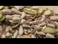 Sesame Sunflower And Pumpkin Seeds Close Up Pile Of Shelled Edible Seeds Background Stock Fo