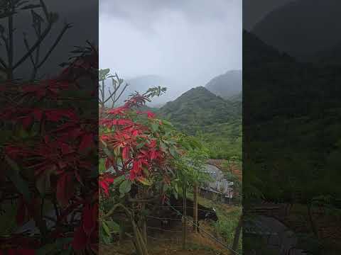 empezó febrero con buena agua gracias a Dios y alla alo lejos el hermoso pueblo de supia caldas