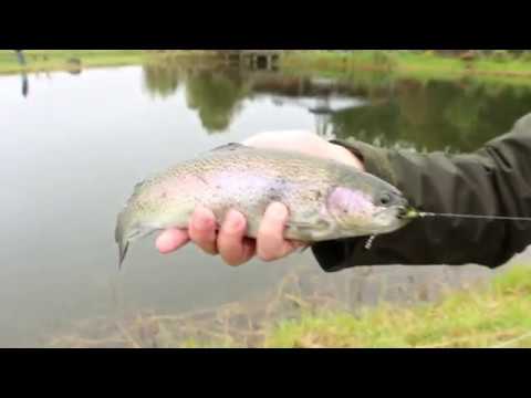 Angeln in der Mecklenburgischen Seenplatte