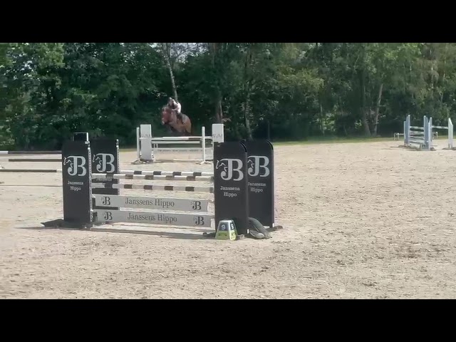 show video