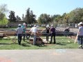 As Stanford University's team progresses towards the Department of Energy Solar Decathlon 2013 competition, they stop for a moment during the actual building of the net-zero energy, solar-powered home to join dance anywhere! http://solardecathlon.stanford