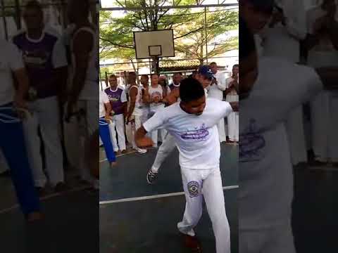 Guerreiros do sol nascente