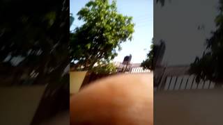 Rambling Vibes classic band