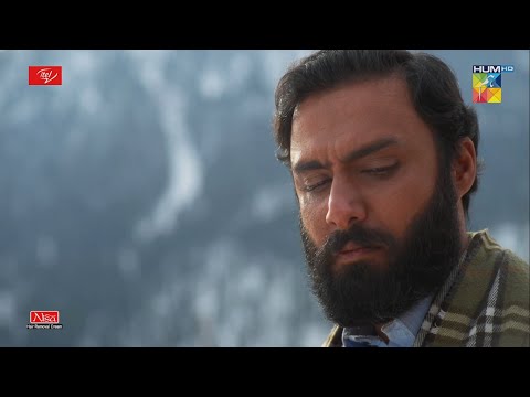 Zindagi Mohabbat Ke Bina - Parizaad