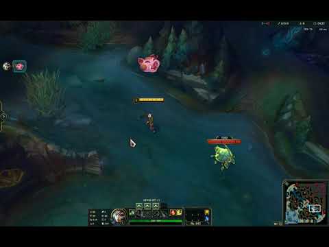 Year of the pig emote bundle / Lunar revel emotes 2019 Leauge of Legends