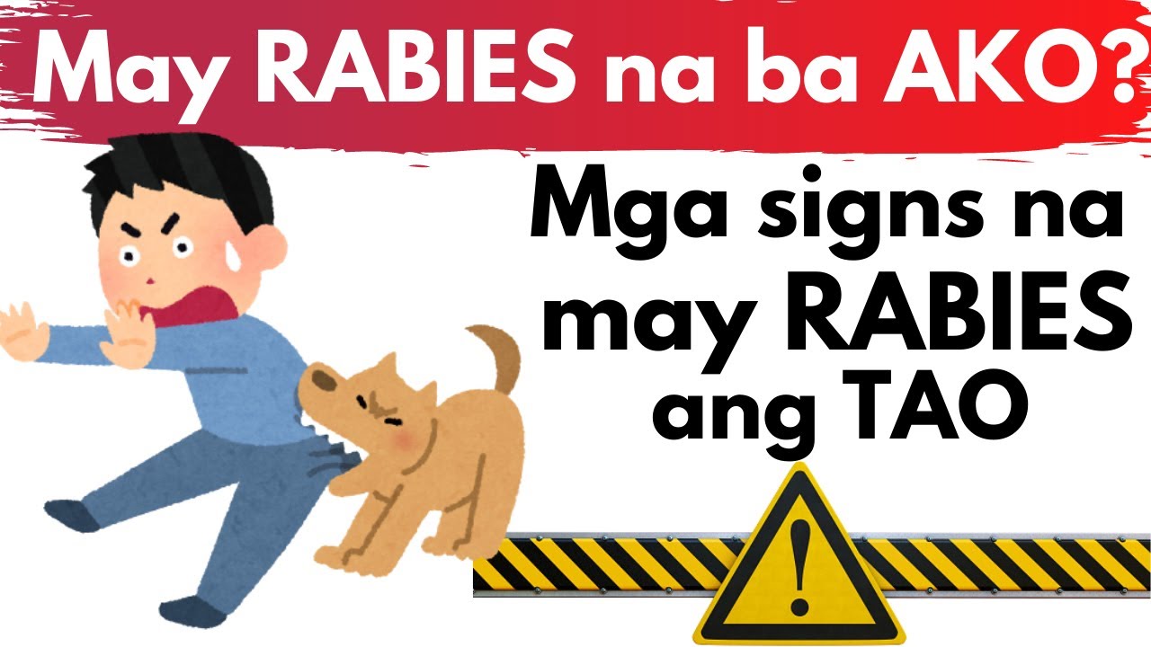 🐶 Sintomas na may RABIES ang TAO mula sa KAGAT ng ASO o PUSA | May gamot ba dito