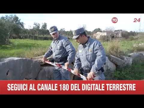 RUVO SVERSAMENTI NEL TERRENO DI ACQUE DI VETETAZIONE