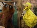 Opening To Sesame Street Big Bird Sings 1995 VHS
