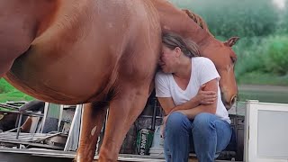 Horse Is Actually the Most Polite Gentleman on Earth 🐴 Cute Animal Video!