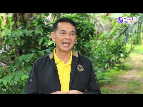 รักษ์ผืนดินถิ่นส.ป.ก. ปี๒/ตอนที่๙. เรื่องเกษตรกรกระบี่เพาะพันธุ์ “ไก่ดำเขาดิน” พันธุ์ใหม่ สร้างรายได้