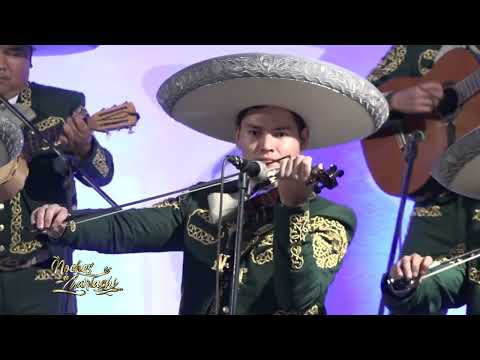 NOCHES DE MARIACHI - MARIACHI NUEVO TAMAZULA
