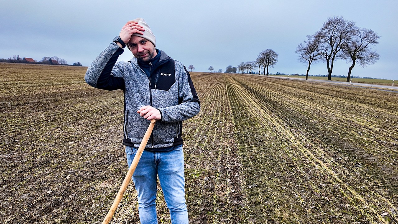 AKF: Drillbild FÜRCHTERLICH?! Roggen, Wintererbsen & Winterhafer nach dem Kahlfrost