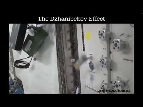 Euler's equations | Chapter 26 Classical Mechanics 2