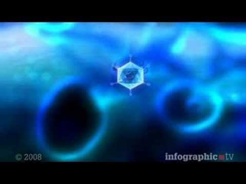 Gendoping: Der genmanipulierte Superathlet