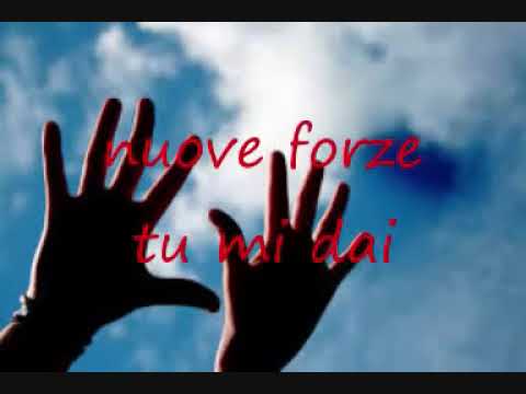 Alzo Le Mani   Marcelo Rodriguez