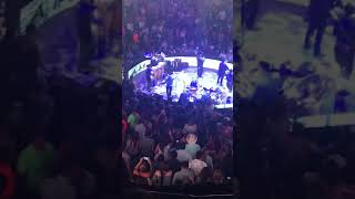 Bienvenido él amor Duelo En Vivo