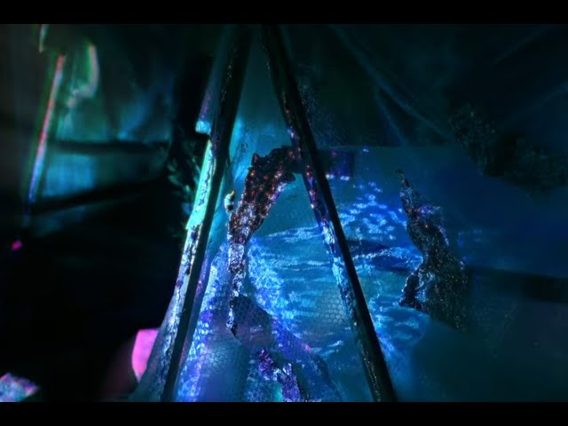 Kenetic Sculpture | Brogan Vandenio | William Basinski Watermusic | Sekai Machache