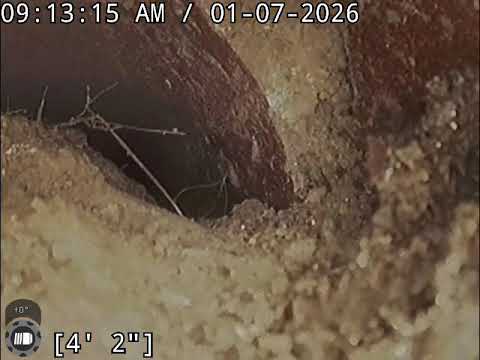 1752 Warriors Rd Pgh 15205