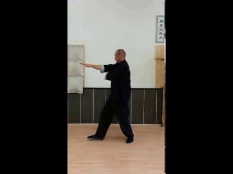 Ip Man Wing Chun - Biu Gee