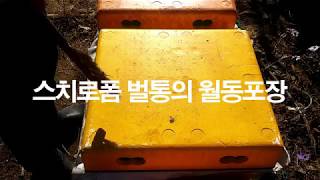 스치로폼벌통의 월동포장 할까? 말까?