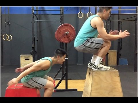 Jump Higher with PAUSE SQUATS + SEATED BOX JUMPS Complex