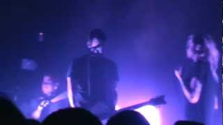 Shiny Toy Guns  Carrie