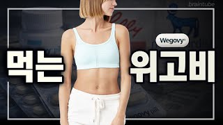 '먹는 위고비' 등장! - 효과, 가격, 부작용 모두 공개