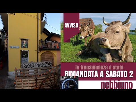 ALTO vergante - NEBBIUNO (video)