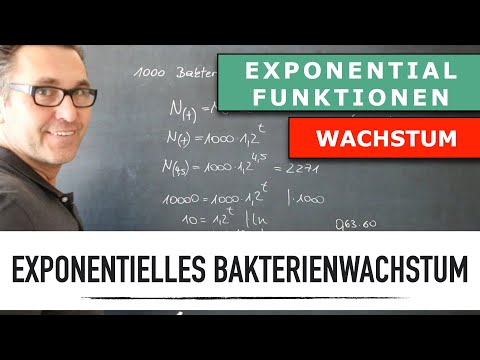 Wie berechne ich ein exponentielles Bakterien Wachstum? | Exponentialrechnung | Wachstumsfunktion