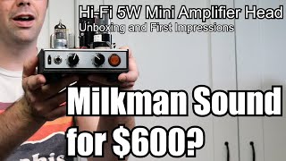 Video thumbnail for An Inexpensive Milkman Amp? Milkman Sound Hi-Fi 5W Mini Guitar Amplifier Head Unboxing & Demo by Adjustable Bias