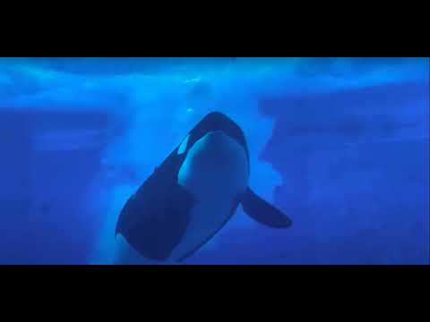 HAPPY BIRTHDAY ARABELLA!