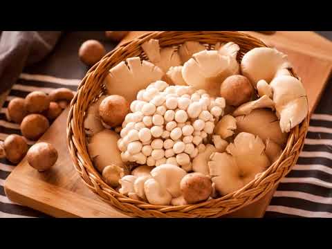 Substrate Preparation and Inoculation: The Key to Growing Mushrooms