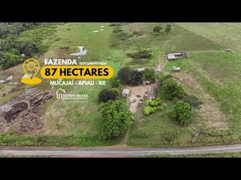 Fazenda 87 hectares | Mucajaí - Região do Apiau - Roraima