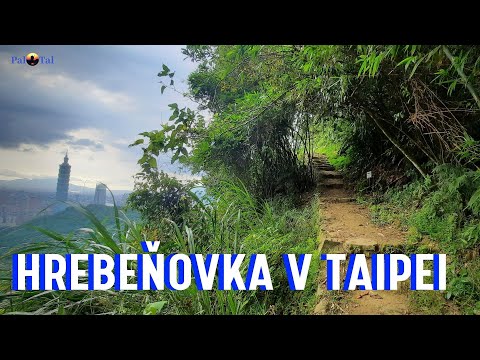 HREBEŇOVKA V TAIPEI - PAL TAL
