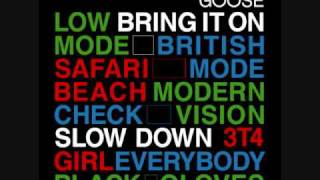 Goose - Modern Vision