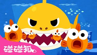 鲨鱼一家1.5倍加速版｜🤩鲨鱼宝宝 嘟噜噜嘟噜 🦈｜鲨鱼一家｜鲨鱼宝宝儿歌｜Baby Shark Faster 1.5x｜中文儿歌｜碰碰狐儿歌｜Nursery Rhymes｜碰碰狐Pinkfong
