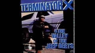 TERMINATOR X- 05 The Blues - Andreas 13