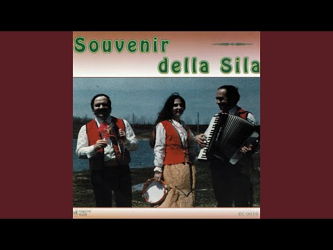 S'è 'nzuratu Micuzzu