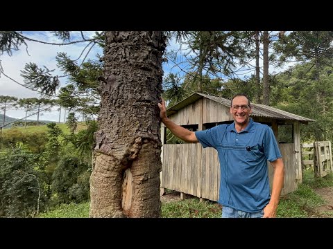 ADELINO ROSSI UM HOMEM DA ROÇA- BOM RETIRO SC